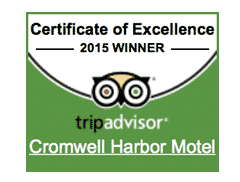 TripAdvisor 2015 Certificate of Excellence